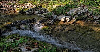 Rock Water_Foto JerzyGorecki_pixabay
